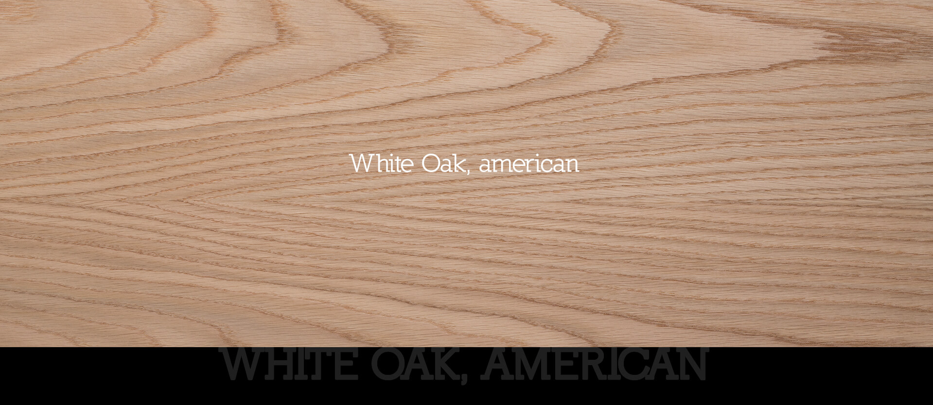 Weißer Amarant-Furnier? Nein: Amerikanische Weißeiche (White Oak)