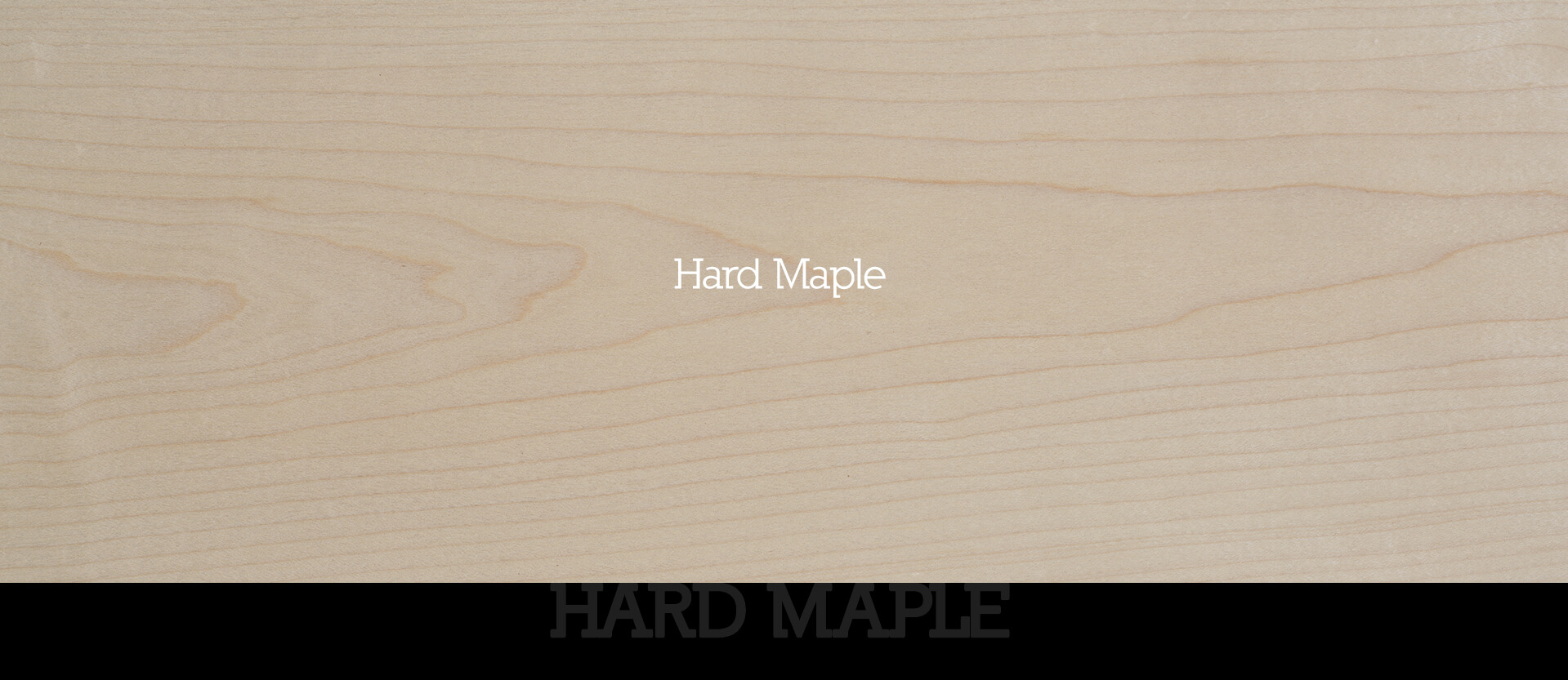 Hard Maple (Ahorn)
