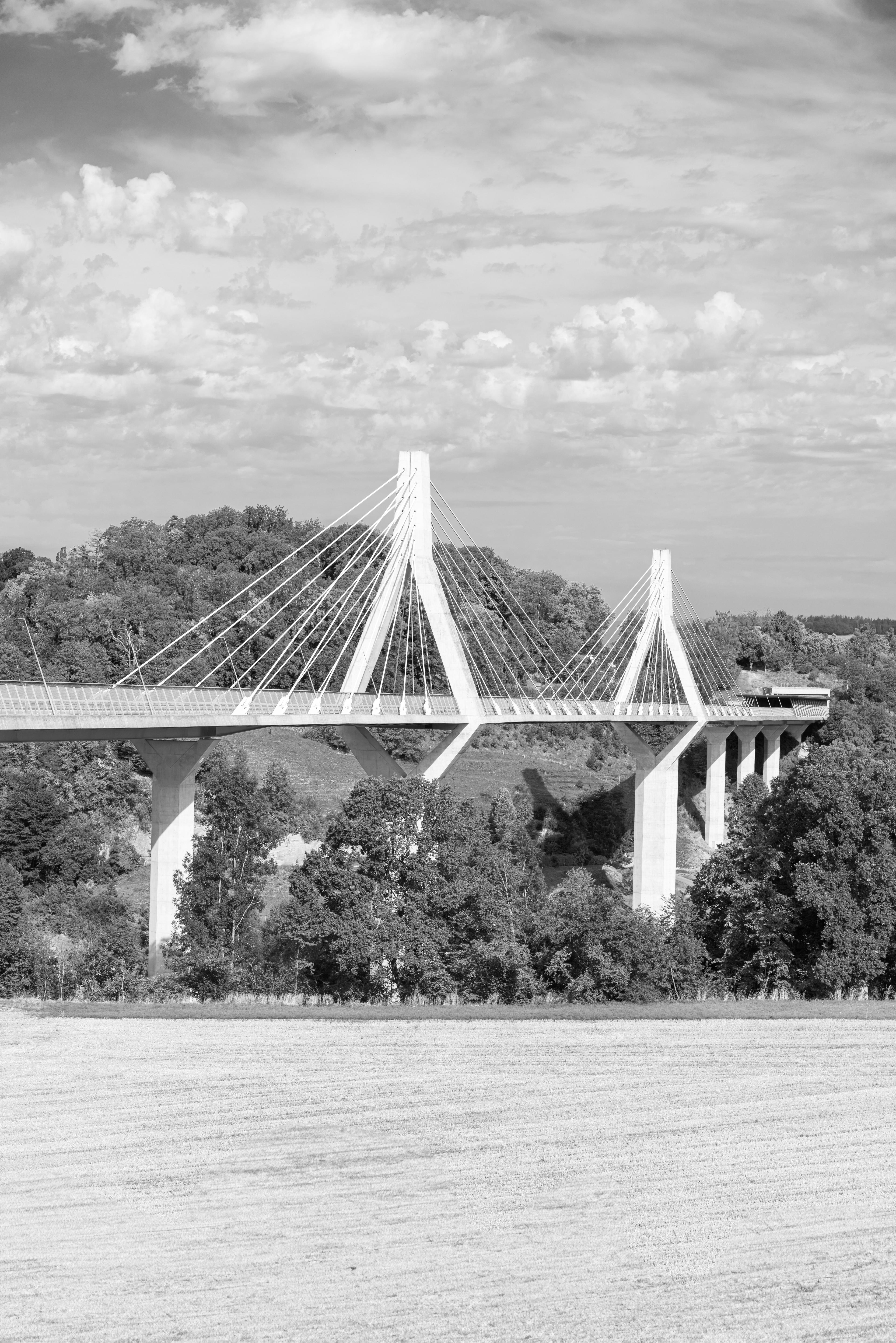 Bonebridge