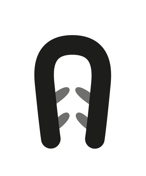Fassungsprofil
