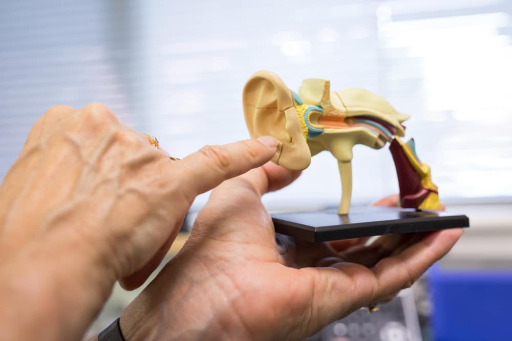 Beratung zu Tinnitus-Behandlung