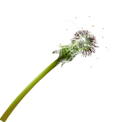 Anwendungsbereich