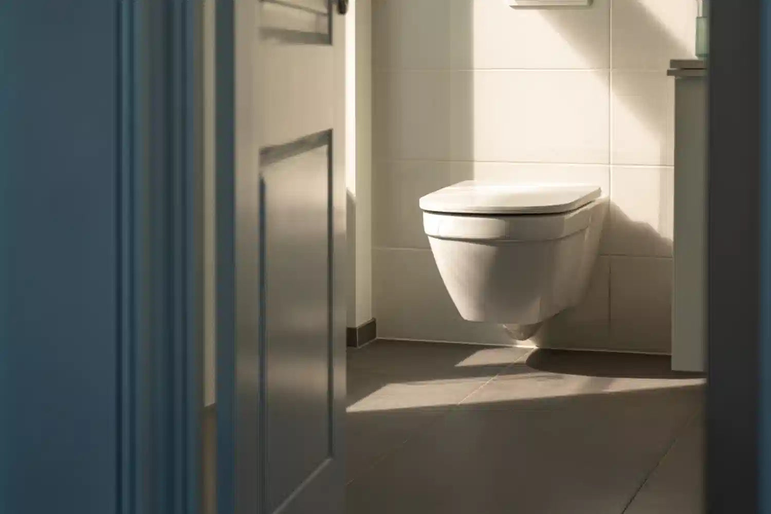 Toiletten-/Urinsteinentferner