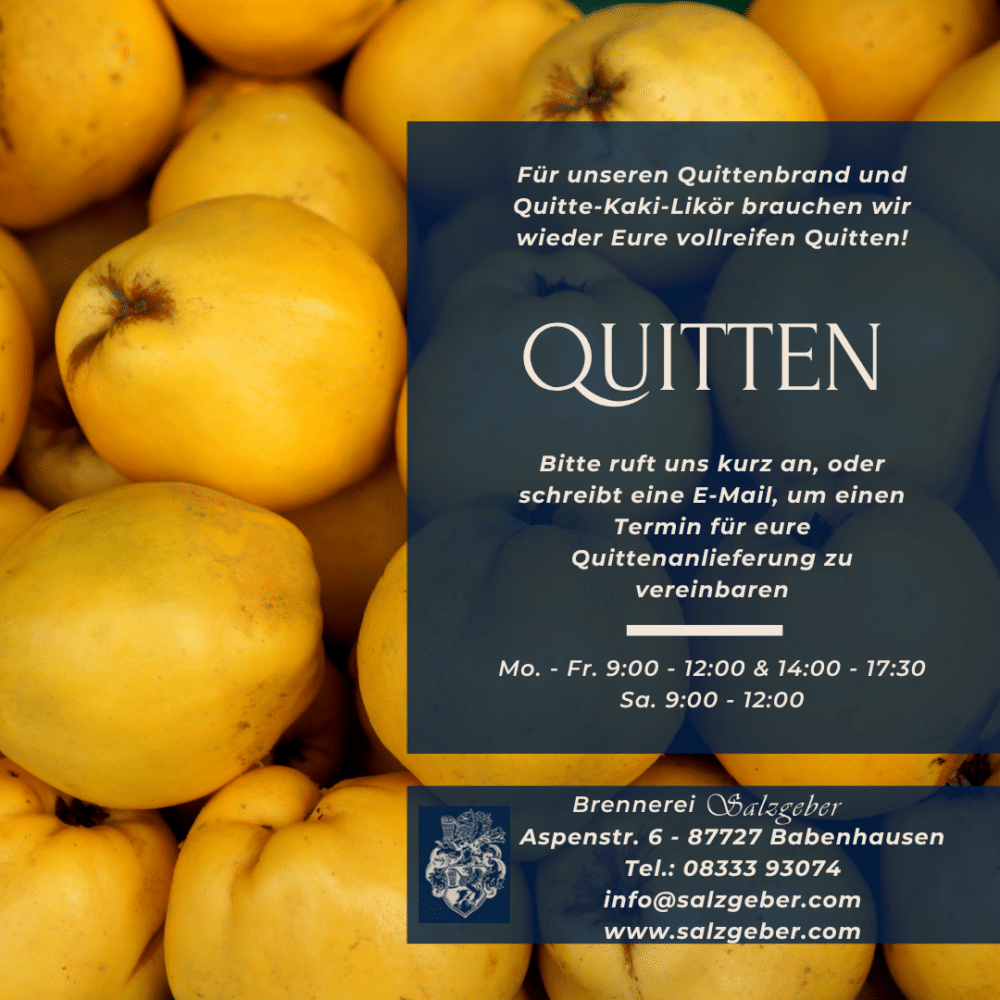 Quitten-Ankauf: Terminvereinbarung