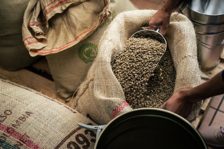Rohkaffee-Verarbeitung im Rösternest