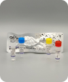RAA-Isothermale Amplifikationsreagenzien