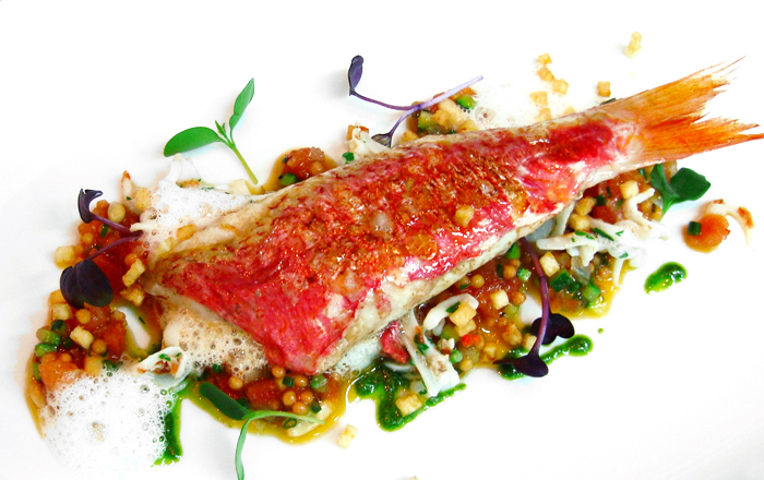 Rotbarbe mit mediterraner Salsa