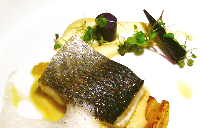 Loup de Mer mit Schalottenpüree