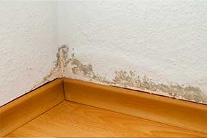 Feuchte Tapete und Sockelleiste im Wand-Boden-Bereich