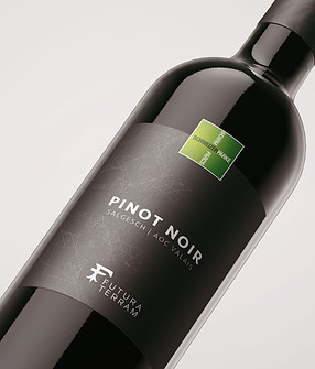Pinot Noir Salgesch AOC Valais