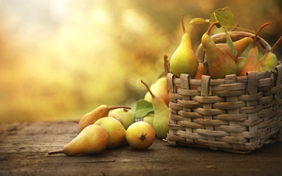 Obstannahme: Birnen