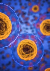 Marktfelder der Lamberti Group