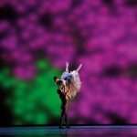 Bayerisches Staatsballett