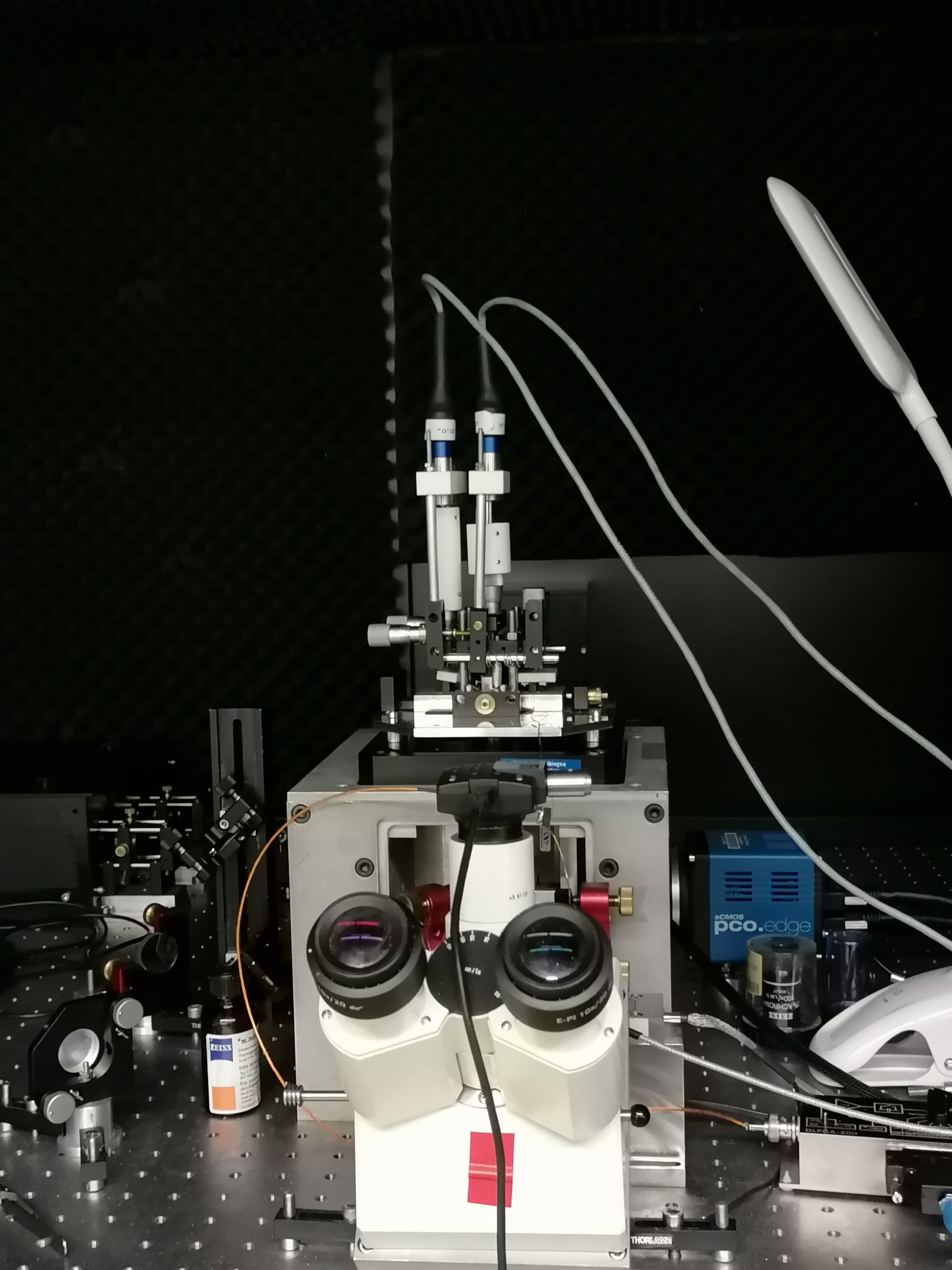 Arbeitsumgebung HydraSpex