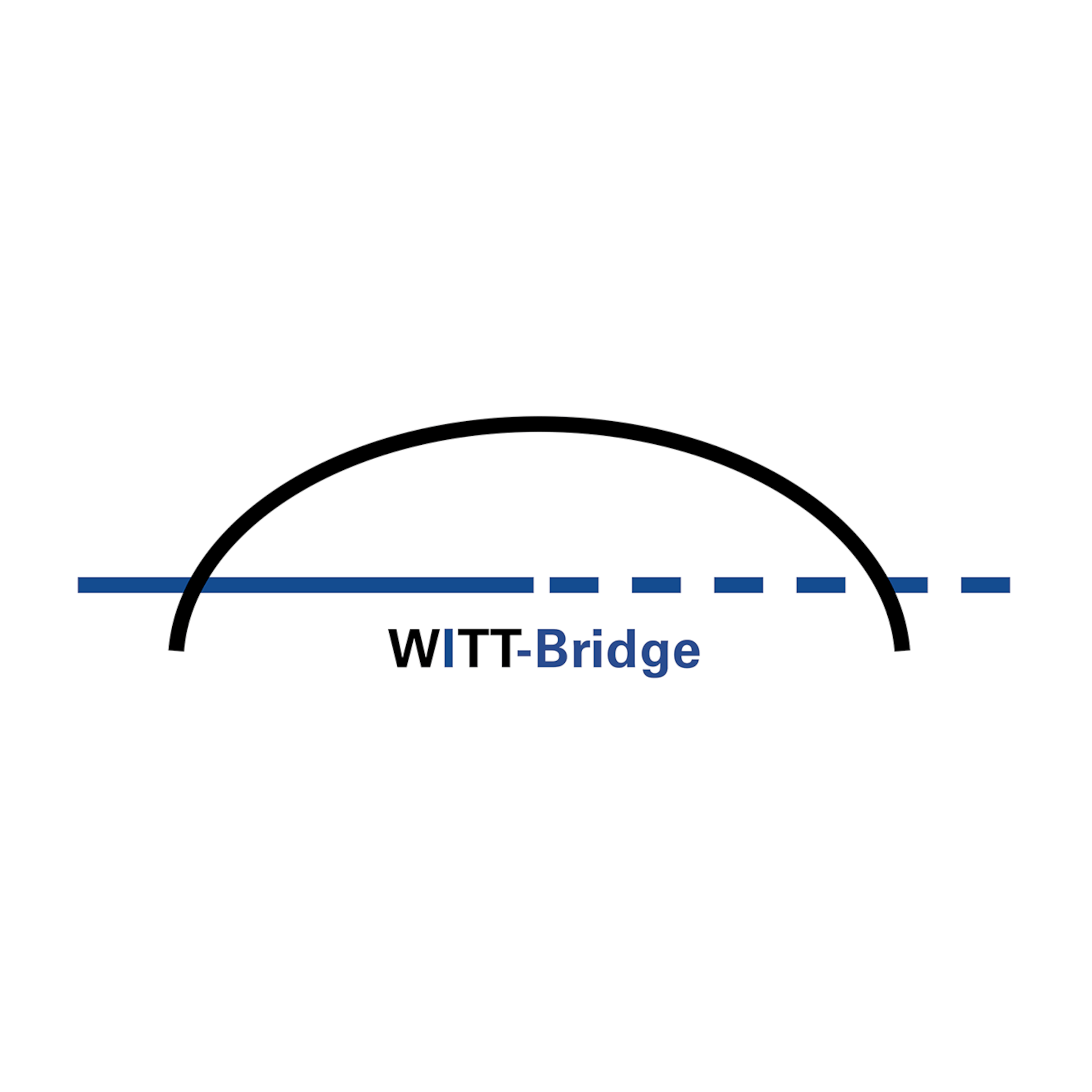 WITT-Bridge MSR-Lösungen