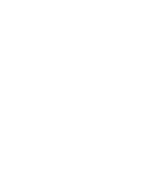 Turbinenmechanik SPT-HPM