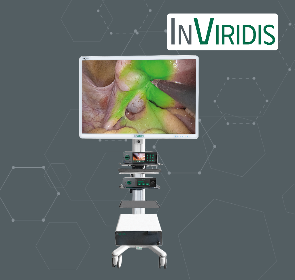 InViridis Endoskopie mit ICG-Visualisierung