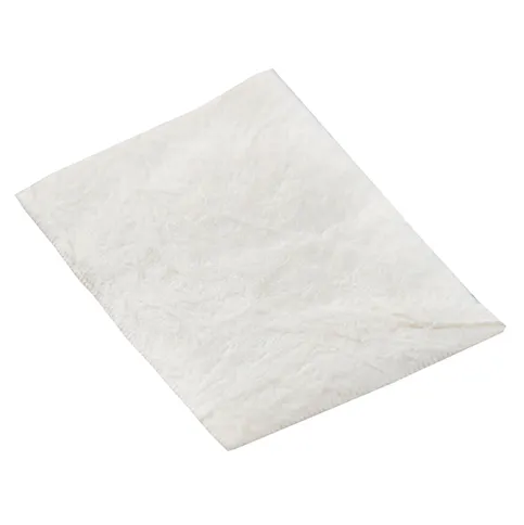 Allograft Dermis (Dermal Matrix)