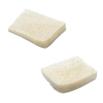 Allograft Bone (Präzisionsbearbeitung)