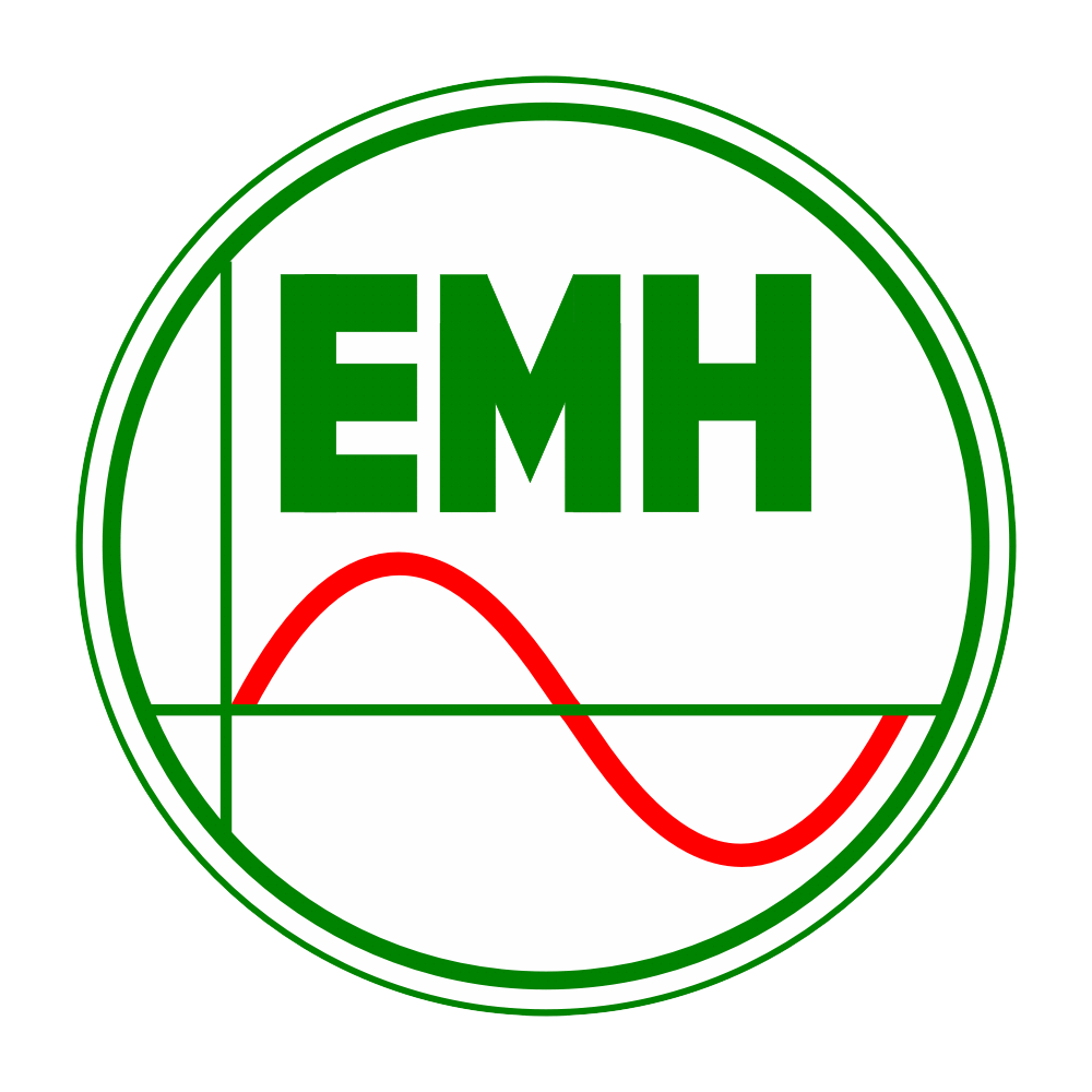 EMH Logo