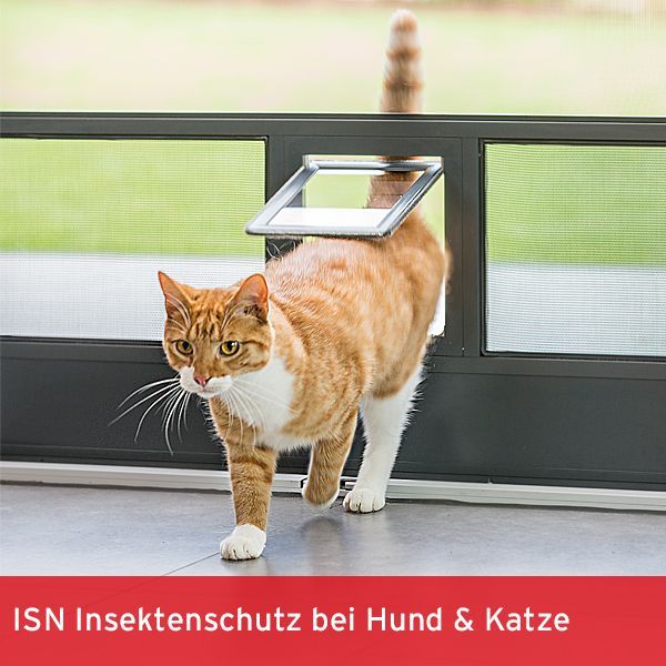 Insektenschutz bei Hund und Katze