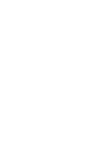 Steuerung / Elektronik