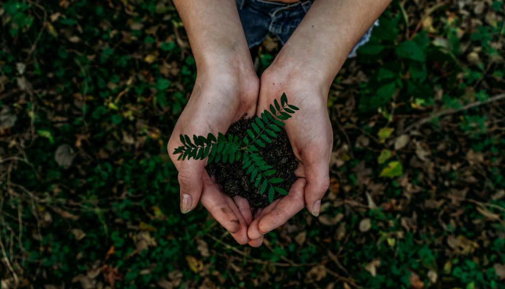 Nachhaltigkeit und CO2-Kompensation bei KHS