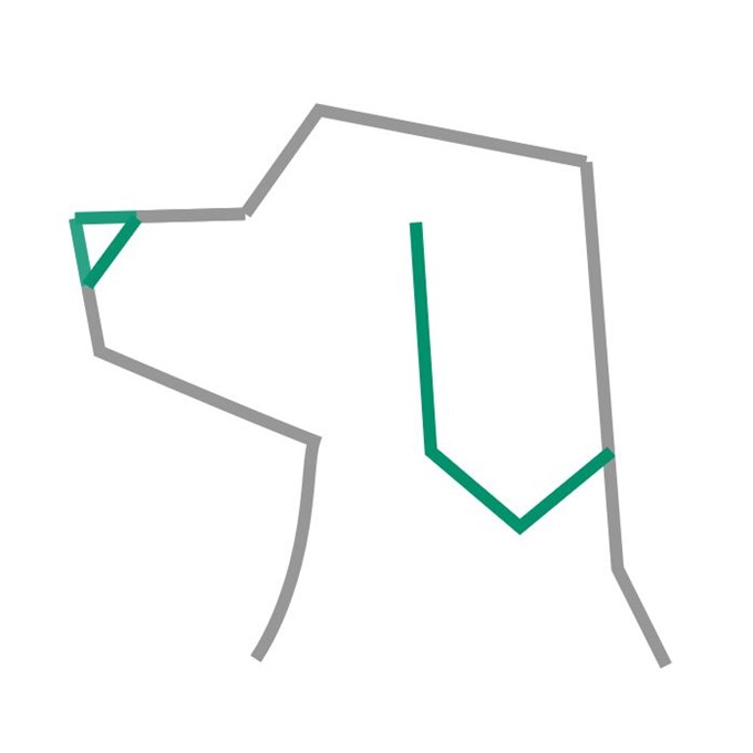 Veterinärmedizin
