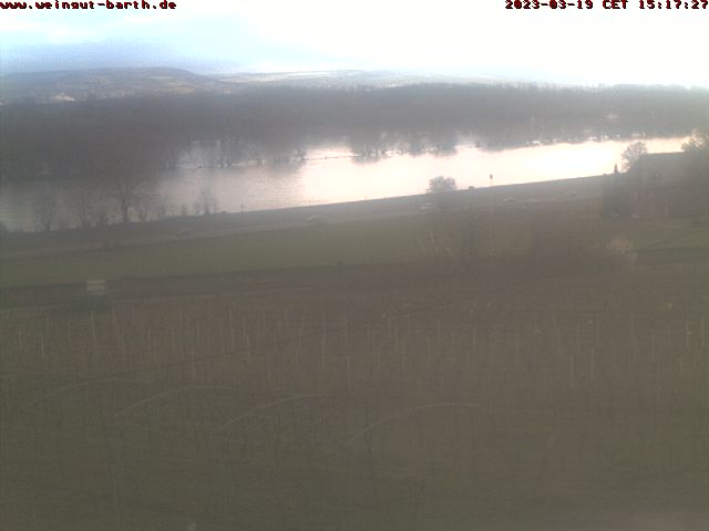 Liveblick auf die Weinberge (BARTHCAM)