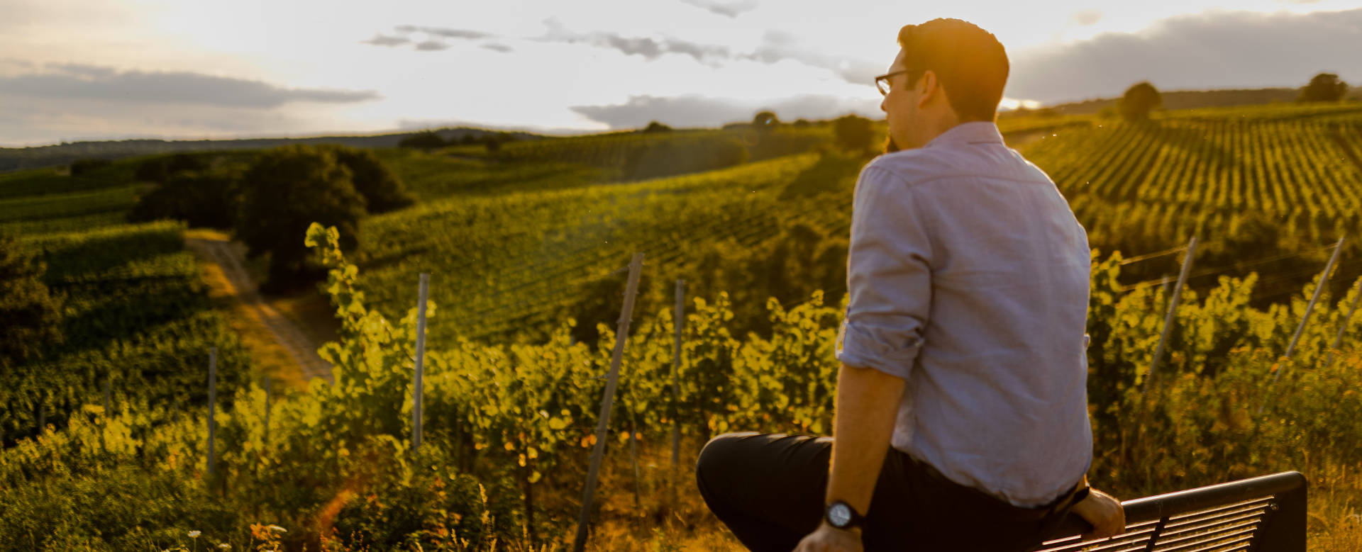Der Rheingau – Heimat des Weinguts