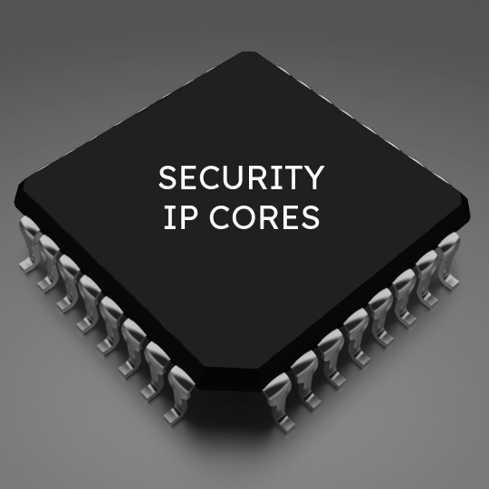 Security-IP-Cores für FPGA und ASIC