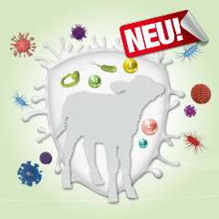 BERGIN Milch FA-Pro