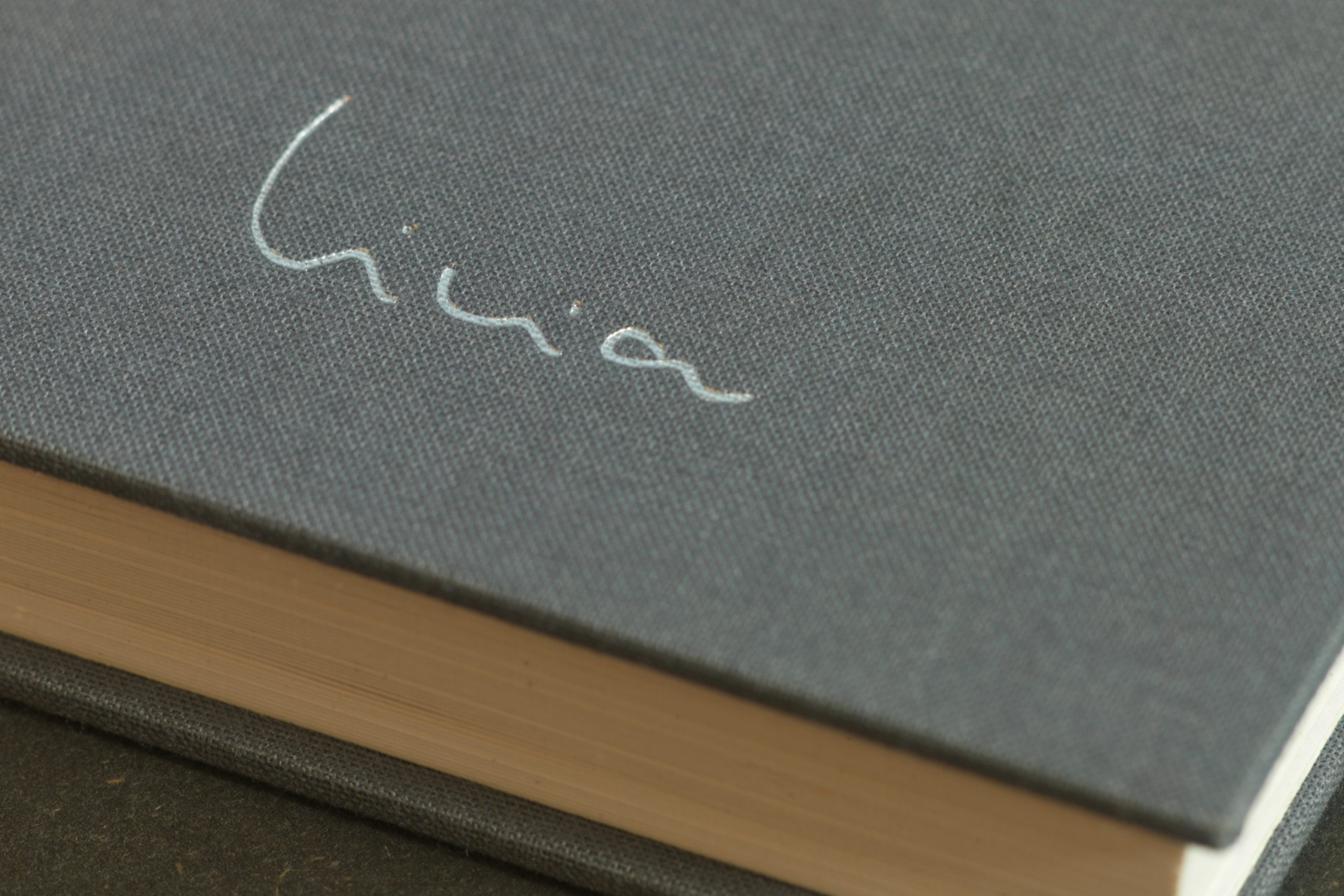 Textiler Buchdeckel mit Livia-Schriftzug