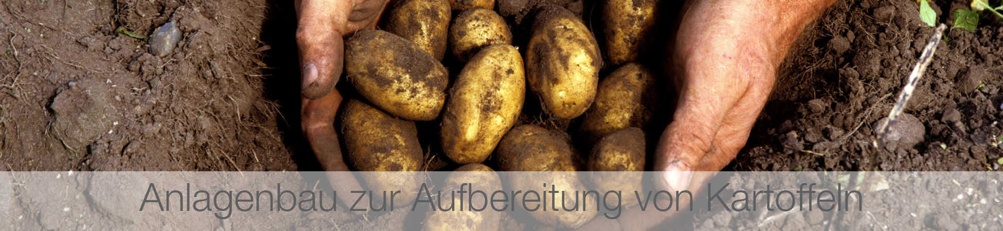 Kartoffelaufbereitung