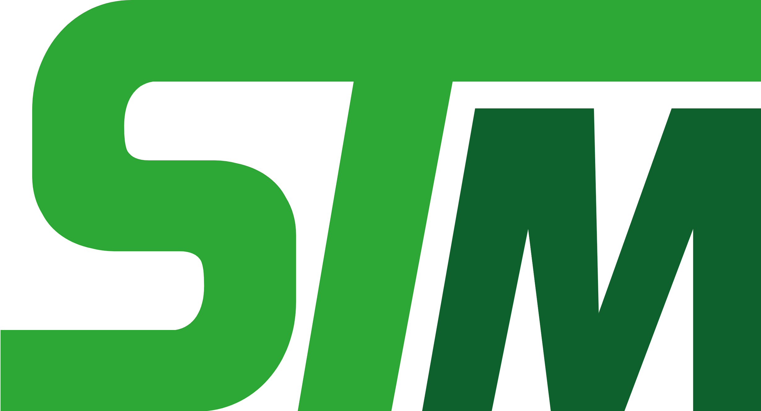 STM Logo