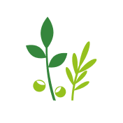 Bio-Produkte