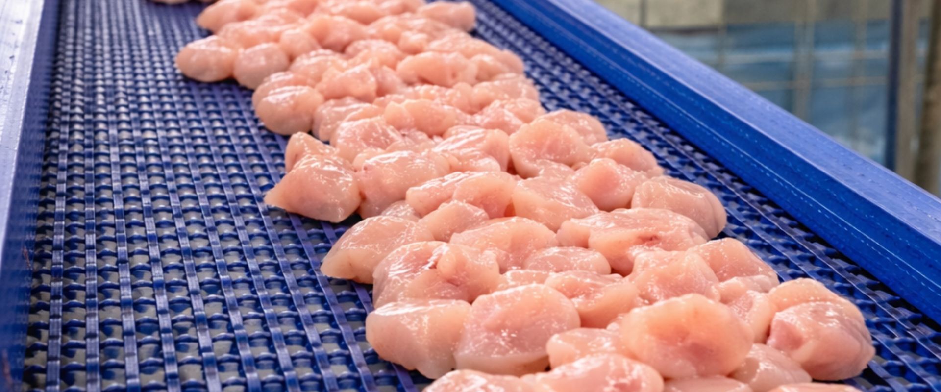 Automatisierte Verpackungslinie für Fleisch und Geflügel