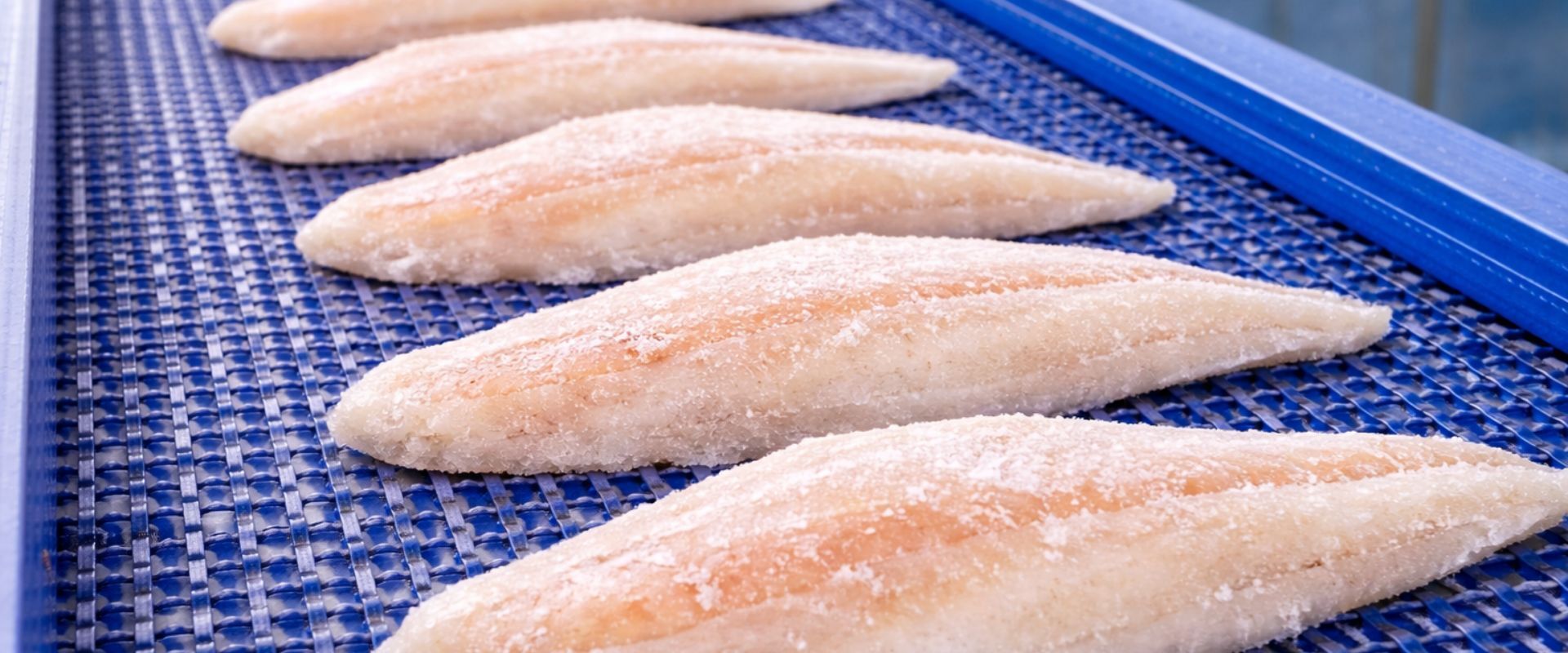 Verpackungslinie für Fisch und Meeresfrüchte