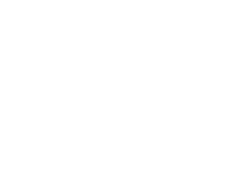 Schutzgruppen
