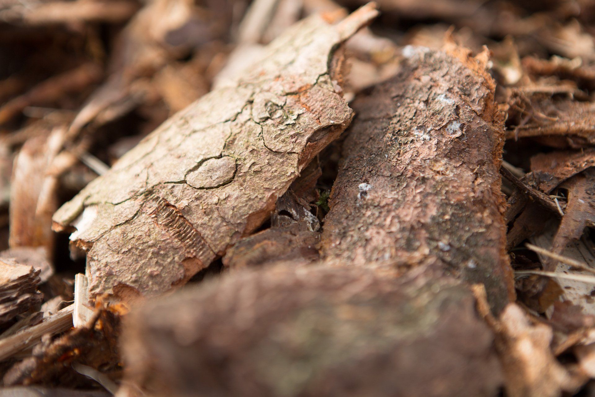 Holzqualität