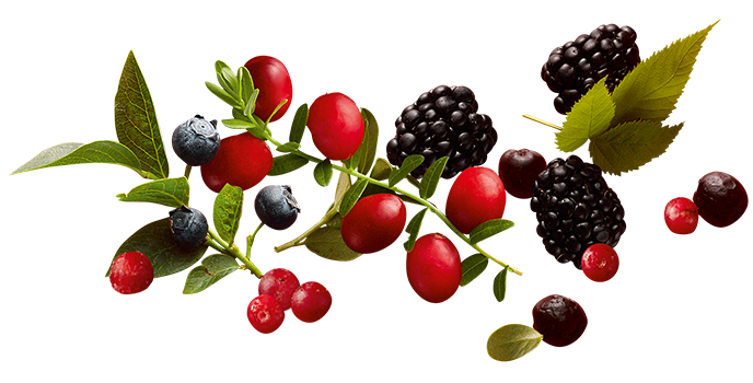 Beeren-Direktsäfte (Marken Rabenhorst)