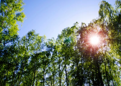 Sensoren für Lichtsteuerung