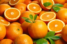 Separatoren und Dekanter für Frucht- und Gemüsesäfte