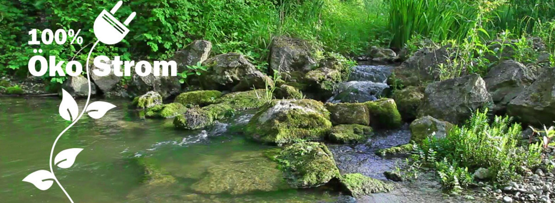 Biotop an den Wasserkraftwerken
