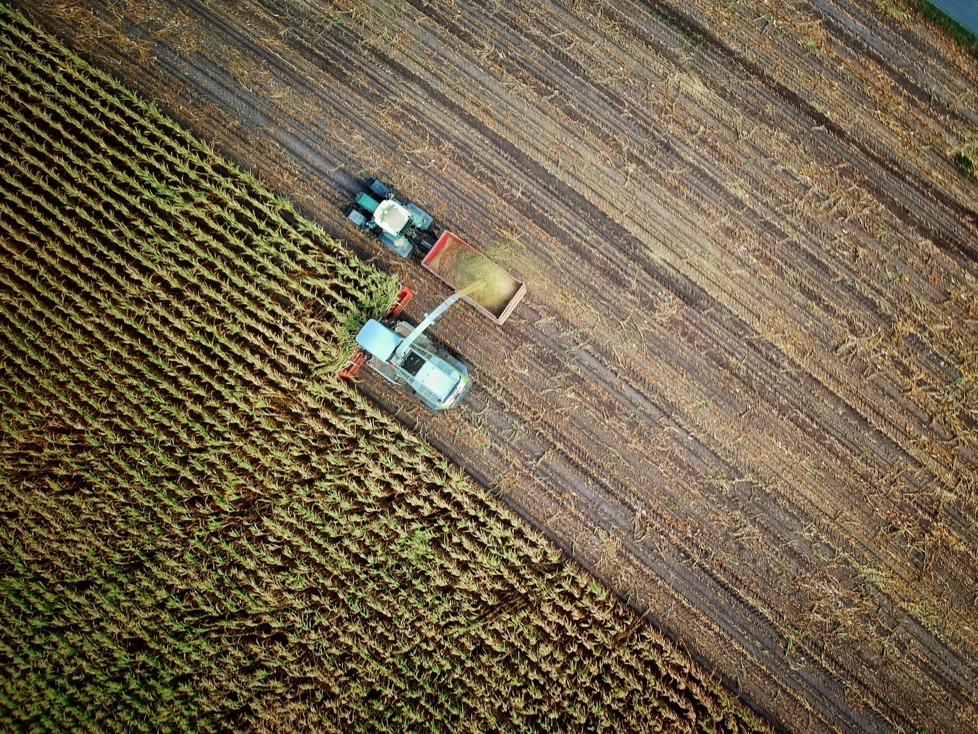 Anwendung Landwirtschaft & Biogas