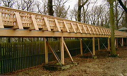 Ingenieur-Holzbau
