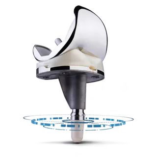 Persona IQ®