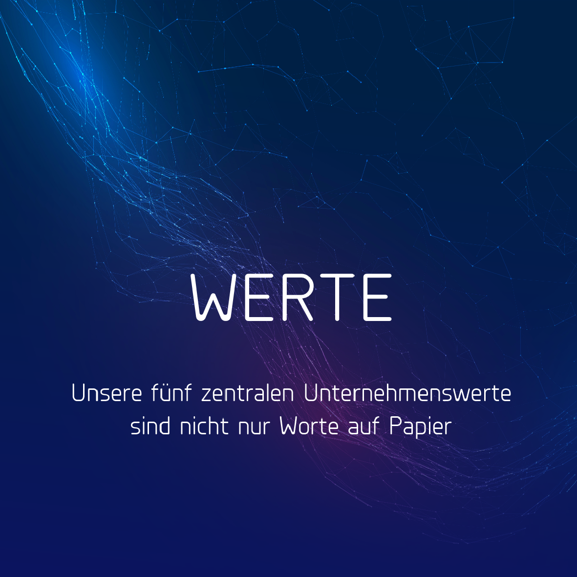 Unternehmenswerte