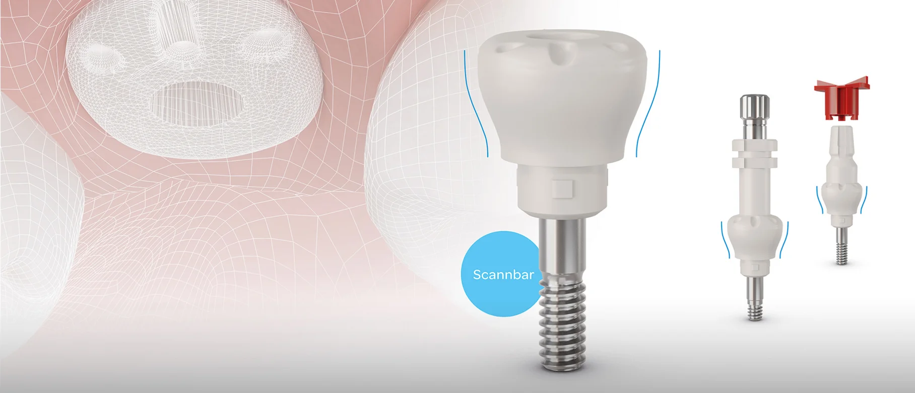 CAMLOG Gingividual Concept Basic