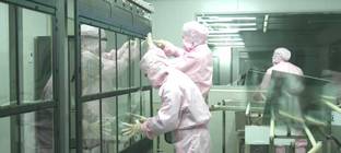 Wafer und Mask Blanks